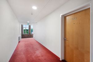 Photo 22- click for photo gallery